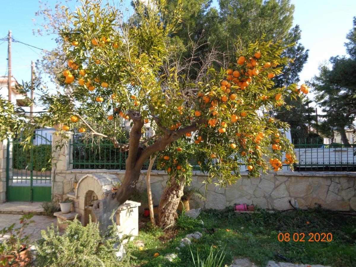 Traditional Guesthouse Asimakis Anifion Bagian luar foto