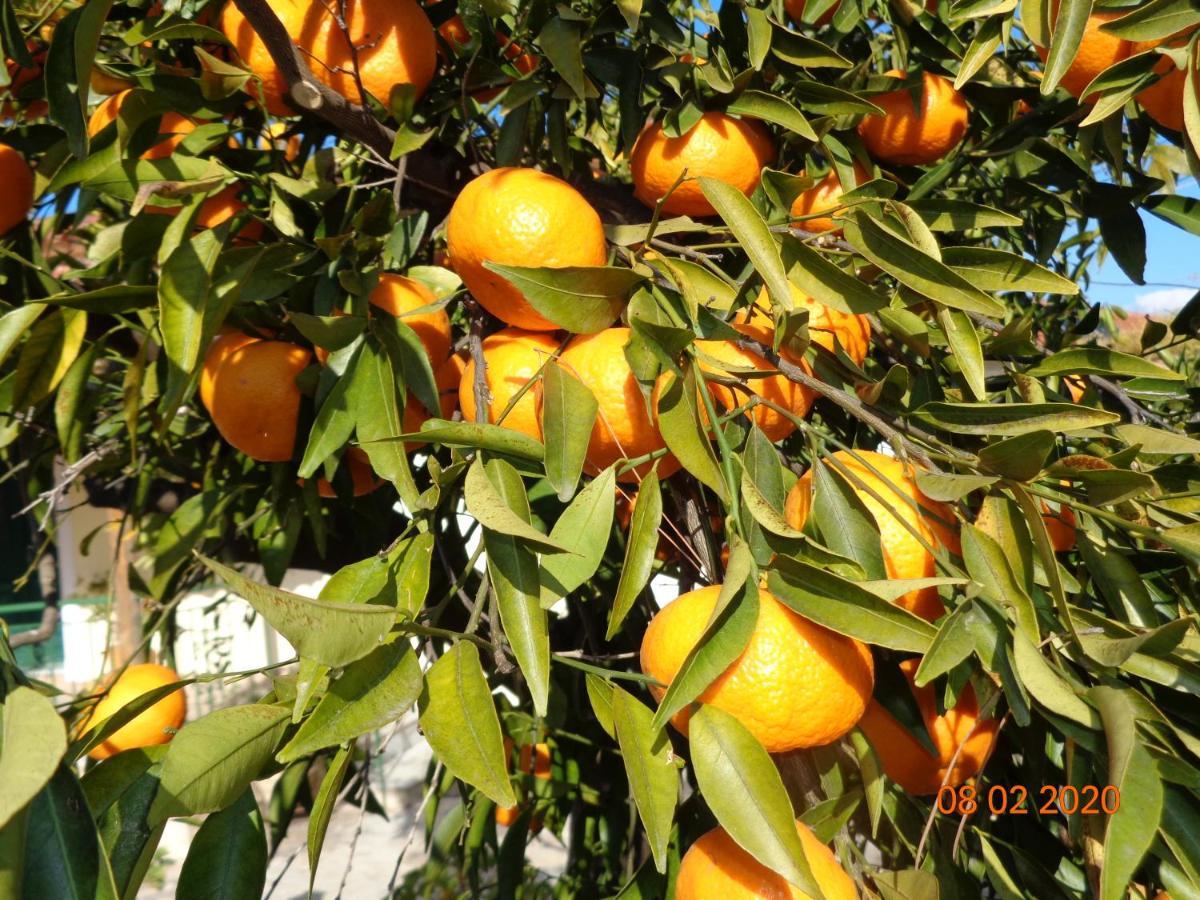 Traditional Guesthouse Asimakis Anifion Bagian luar foto